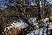 27 Salendo al Monte Zucco